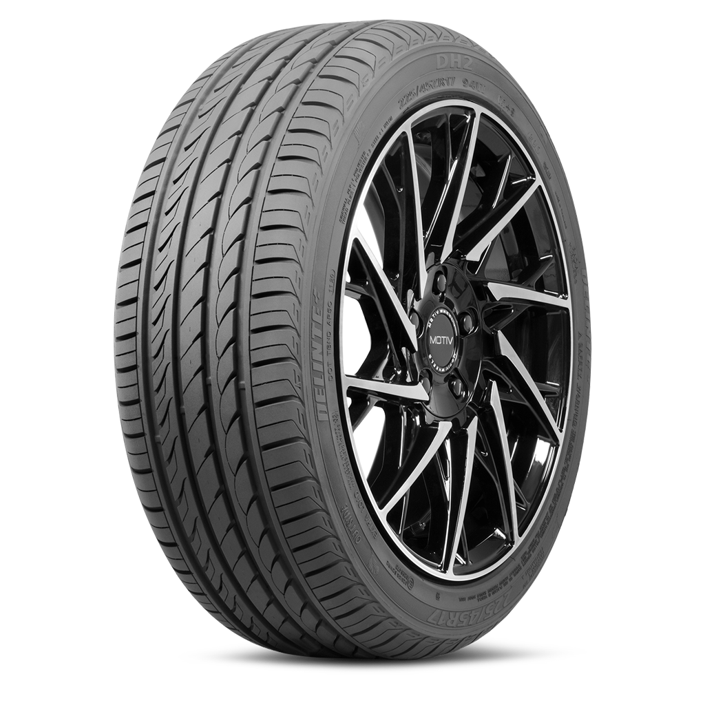 DELINTE DH2 205/55ZR16 (24.9X8.1R 16) Tires