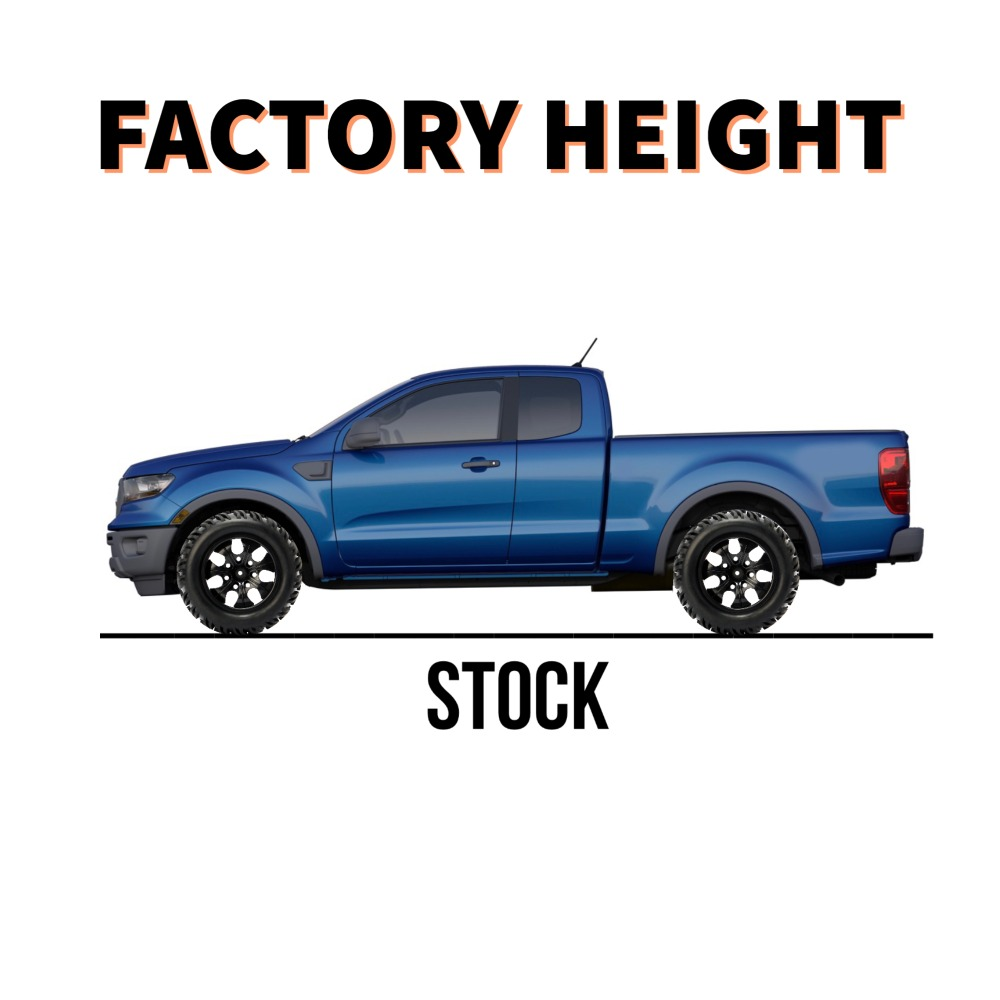 FORD - F150 - FACTORY HEIGHT (NO LEVELING KIT)