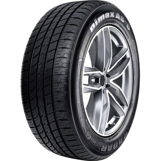 RADAR DIMAX AS-8 225/50R17 XL (25.9X8.9R 17) Tires