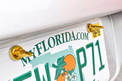 TRUE SPIKE License Plate Washer & Bullet Hardware Kit (4pc Set) LPH005/LPH006