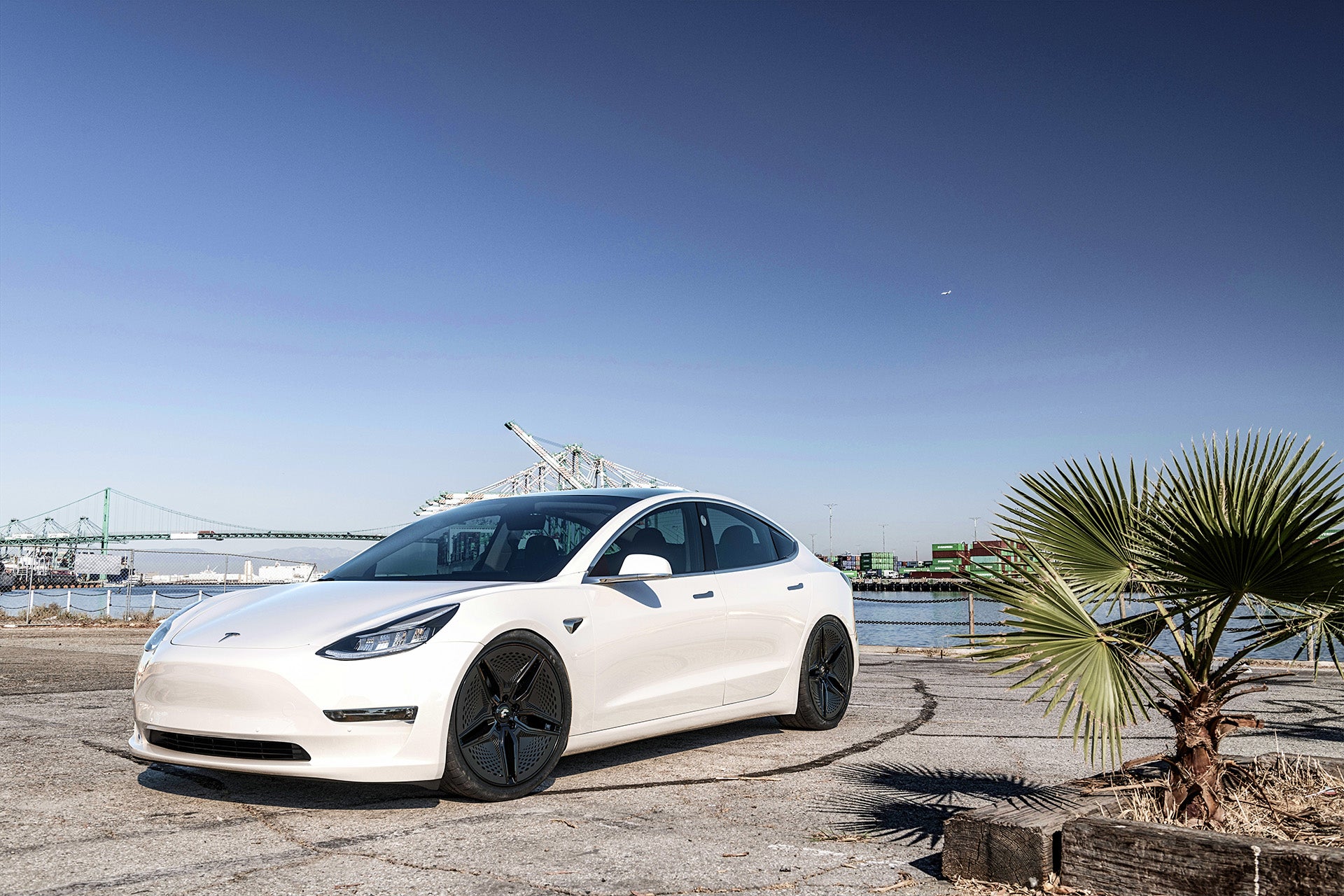 SET OF 4 FORGIATO WHEEL & TIRE PACKAGE FOR TESLA MODEL 3 | EV 001 20" STAGGERED SETUP