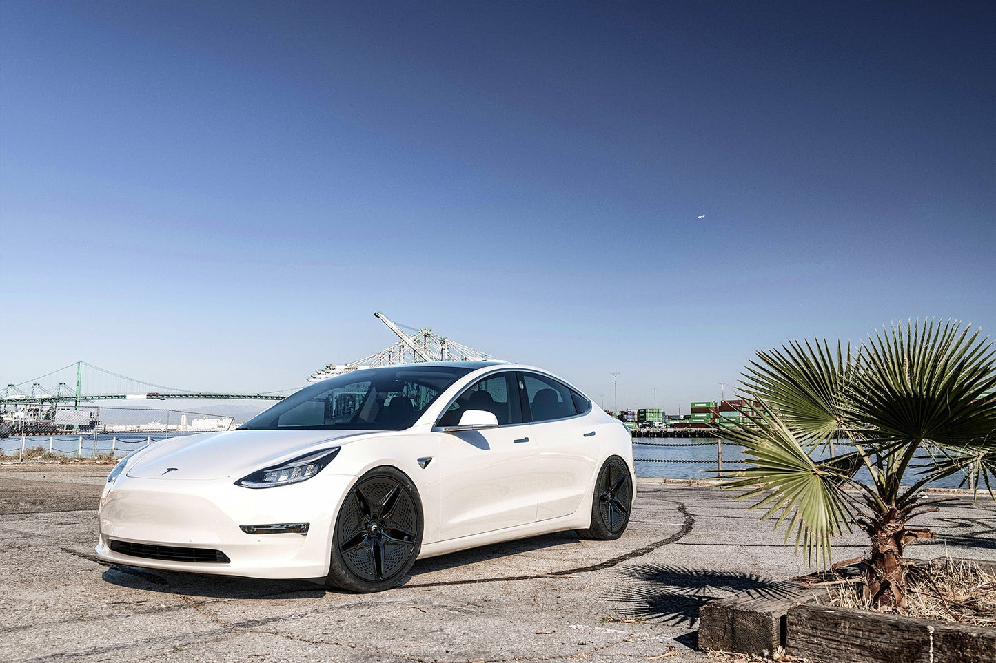 FORGIATO WHEEL & TIRE PACKAGE FOR TESLA MODEL Y | EV 001 20X10 SETUP